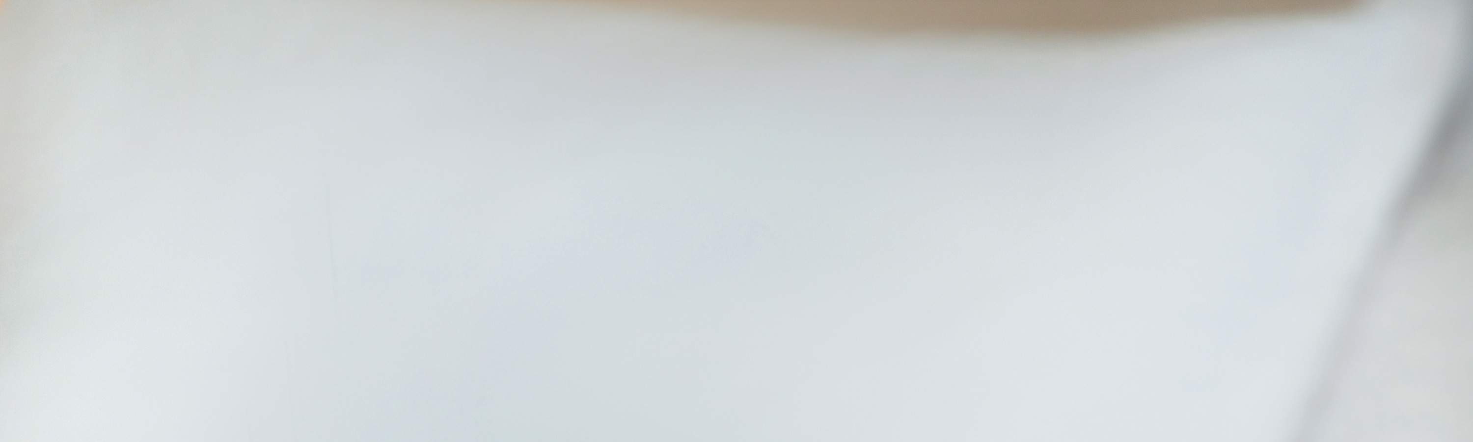 Arrival gift: Black-faced Spoonbill plush toy